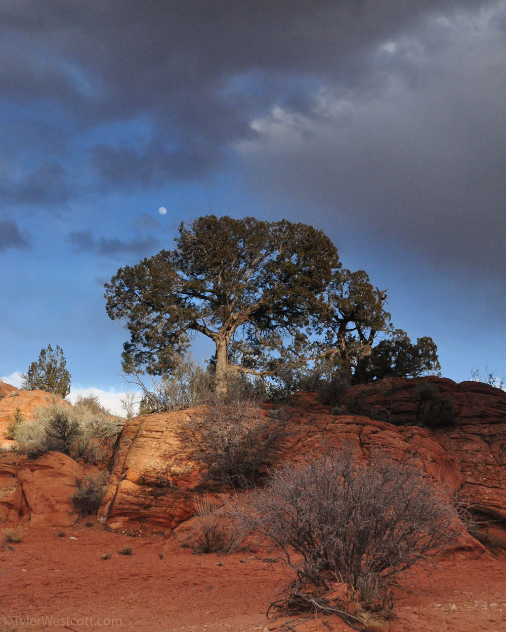 Rising Moon, Coyote Buttes North, Utah