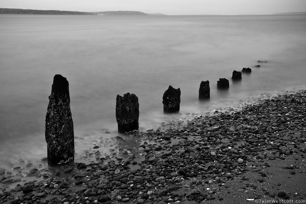 Golden Gardens, Seattle, Washington