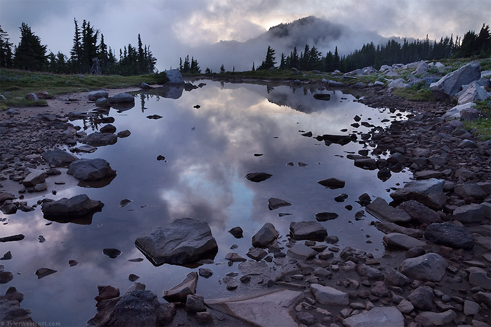 Spray Park Tarn, Mount Rainier National Park