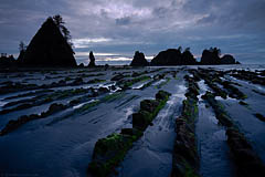 Point of the Arches, Shi-Shi Beach, Olympic National Park, Washington
