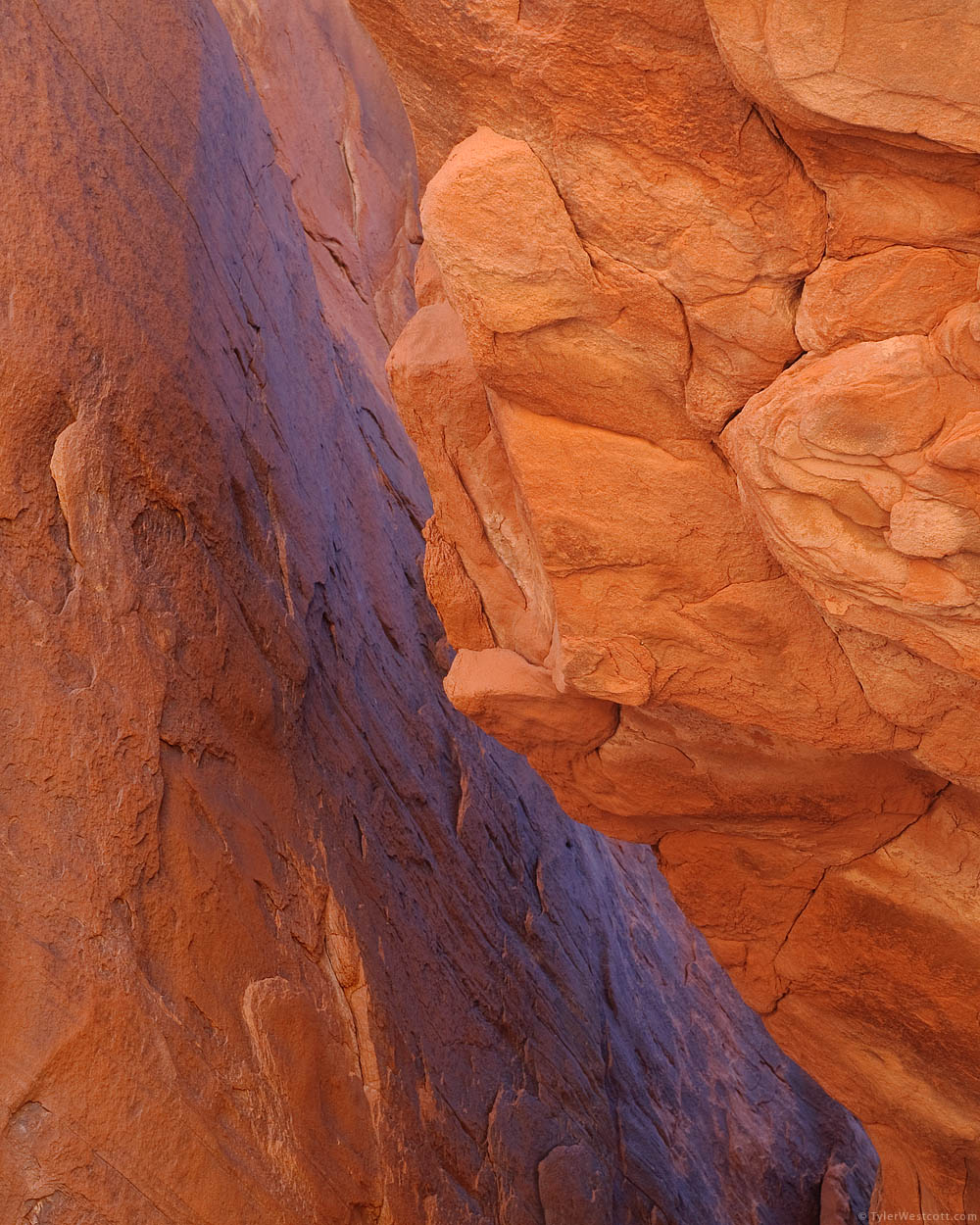 Atlatl Rock Details, Valley of Fire, Nevada