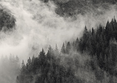 Stevens Canyon, Mount Rainier National Park, Washington