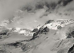 Paradise, Mount Rainier National Park, Washington