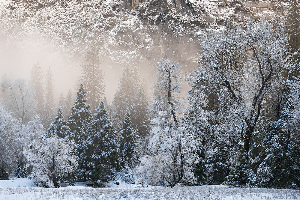 Snow and Fog, Yosemite Valley, Yosemite National Park