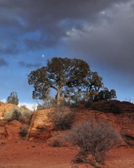 Rising Moon, Coyote Buttes North, Utah