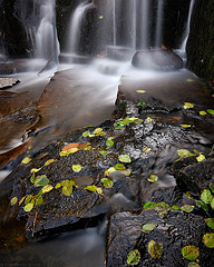 Sunbeam Creek, Autumn, Mount Rainier National Park