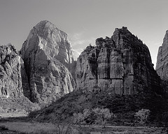 The Great White Throne and The Organ, Zion National Park