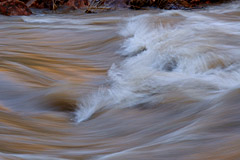 Virgin River, Sunset, Zion National Park