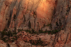 Bridge Mountain Detail, Sunset, Zion National Park