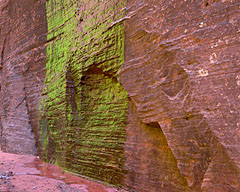Green Wall, Taylor Creek Canyon, Zion National Park