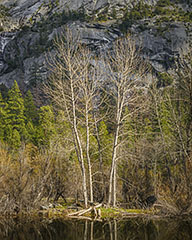 Merced River, Spring, Yosemite National Park