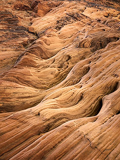 Refrigerator Canyon Detail, Zion National Park